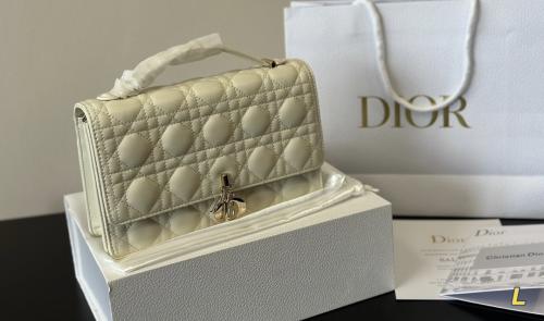 Dior3