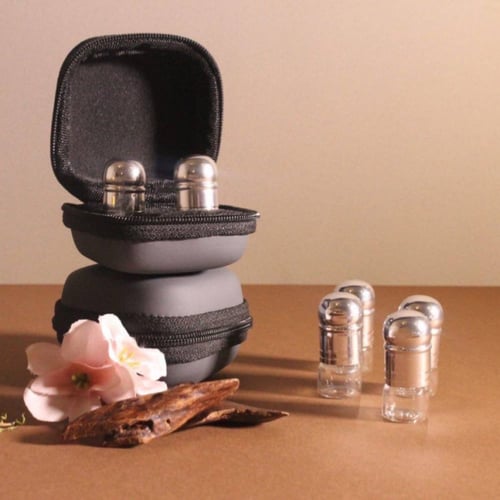 حقيبة النانو