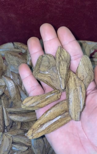 عود موروكي المناسبات الملكي المحسن