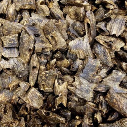 عود كينام الصيني سوبر وسوبر مرتفع