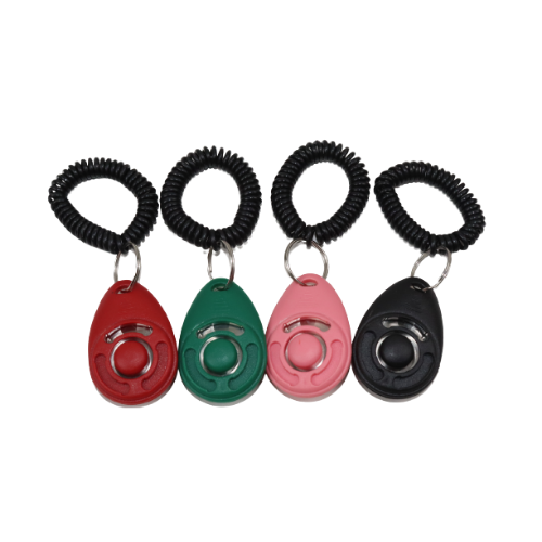 كليكر تدريب