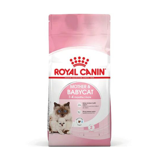 اكل الأم و القطط الصغيرة رويال كانين