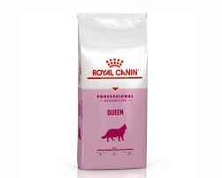 رويال كانن كوين طعام جاف للقطط خلال فترة الحمل 4كج...