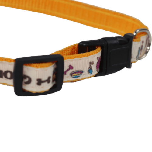 طوق قطط وكلاب