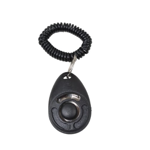 كليكر تدريب