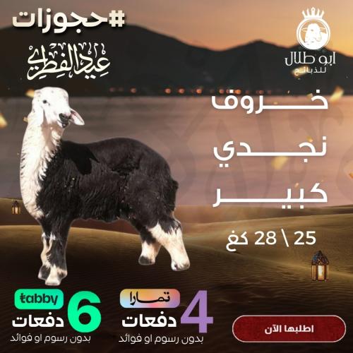 خروف نجدي كبير (حجوزات عيد الفطر)