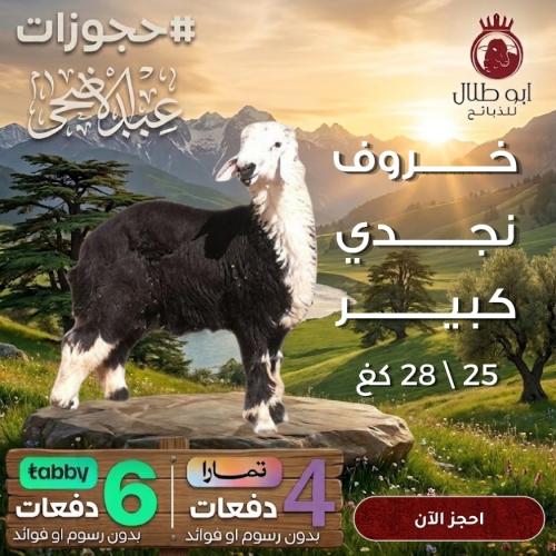 خروف نجدي كبير (حجوزات عيد الاضحى)