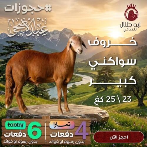 خروف سواكني كبير (حجوزات عيد الاضحى)