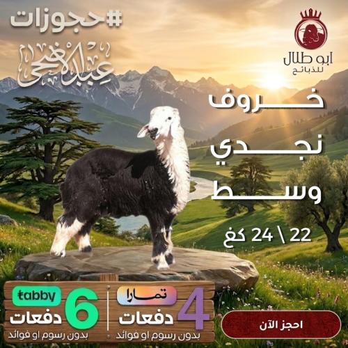 خروف نجدي وسط (حجوزات عيد الاضحى)