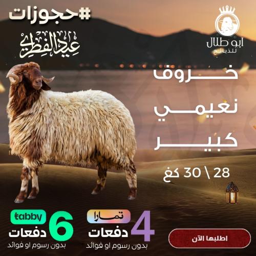 خروف نعيمي كبير (حجوزات عيد الفطر)