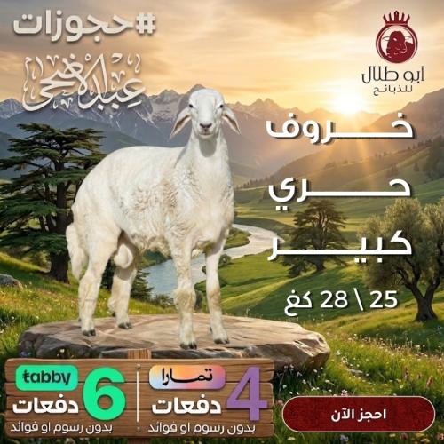 خروف حري كبير (حجوزات عيد الاضحى)