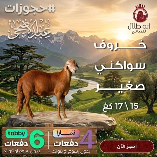 خروف سواكني صغير (حجوزات عيد الاضحى)