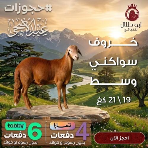 خروف سواكني وسط (حجوزات عيد الاضحى)