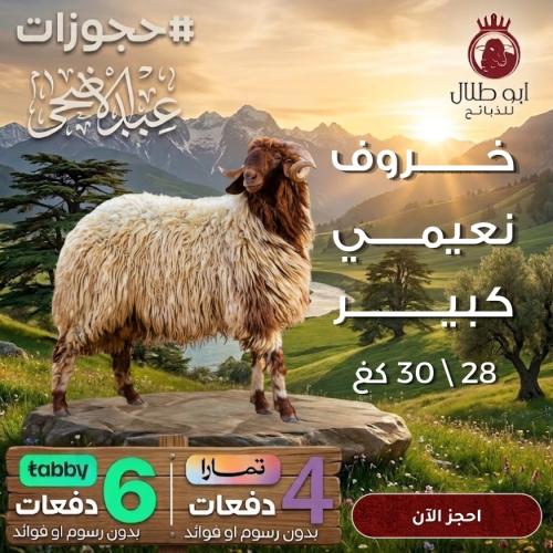 خروف نعيمي كبير (حجوزات عيد الاضحى)