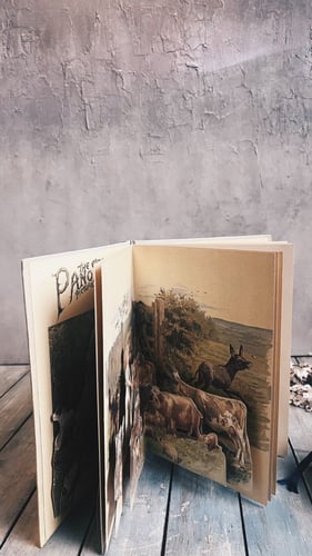 THE GREAT PANORAMA PICTURE BOOK