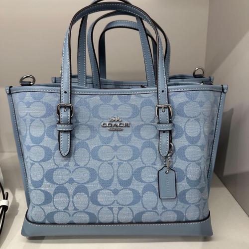 كوتش مولي 25 - ازرق