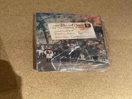 سيدة انجليزية في مصر