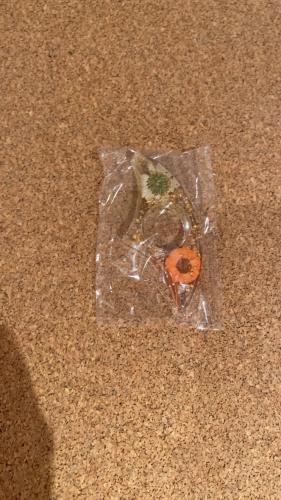 فاصل كتب بلاستيك