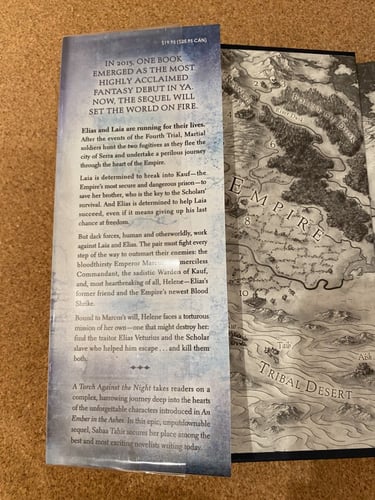 A torch against the night