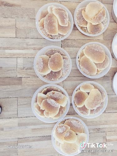 صحن شمع سلمة ضهيانة بلدي ذهبي