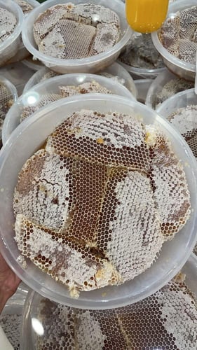 صحن شمع طلح حايل