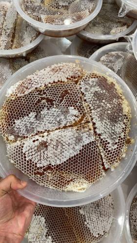 صحن شمع طلح حايل