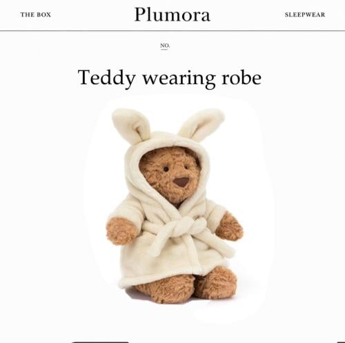 Teddy wearing robe