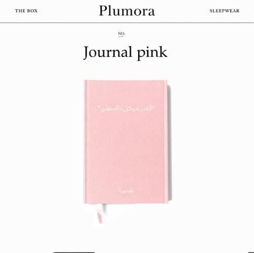 Journal pink