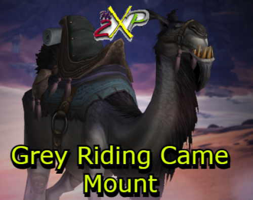 Grey Riding Camel + Title & Achievement
