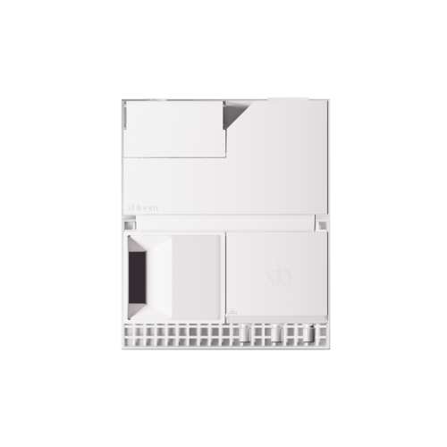 أكس بلوم استوديو