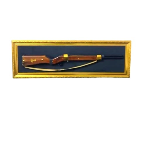 لوحة مجسم بندق اثنين ماصوره