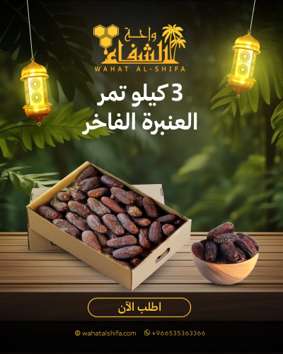 كرتون تمر عنبرة المدينة الفاخر (3 كيلو)