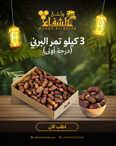 كرتون تمر برني المدينة درجة أولى (3 كيلو)