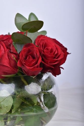 فازة كلاسيك روز