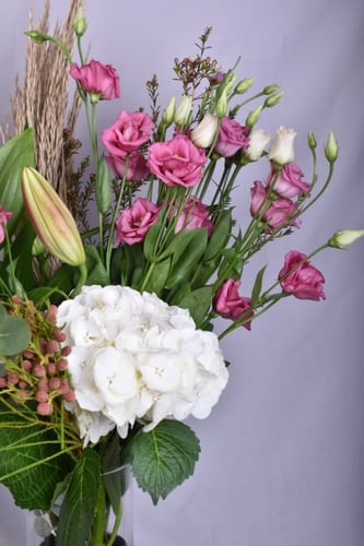 فازة ليليوم & إستوما