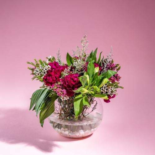 فازة الإبتهاج