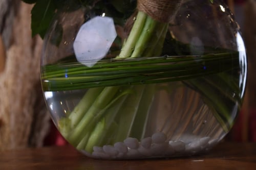 فازة توليب & لافندر