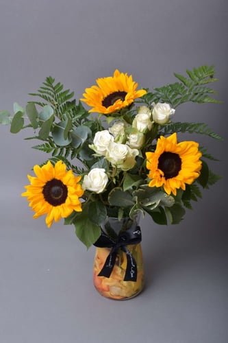 فازة دوار الشمس