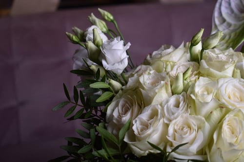 فازة الحياة الطويلة