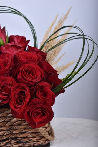 فازة الهمسة الناعمة