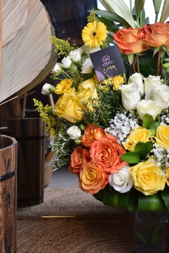 فازة إشراق الأحاسيس