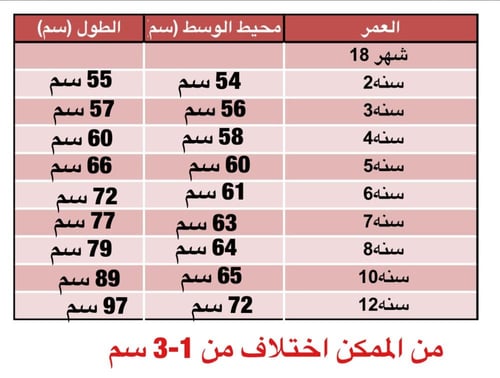 حديقة ورد