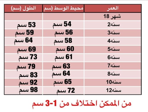 وردي دانتيل