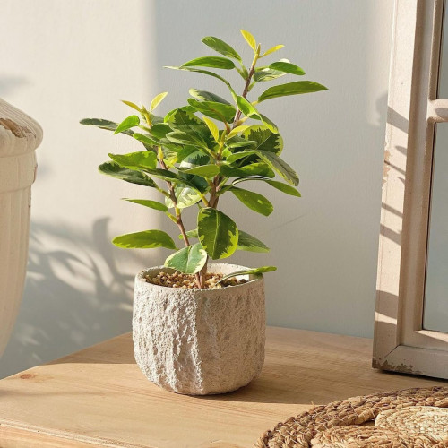 مركن زرع صناعي ملون