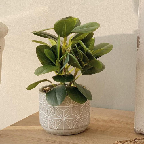 مركن زرع صناعي ملون