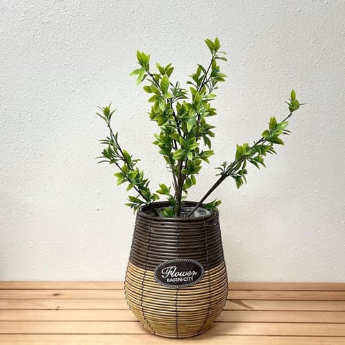 سلة حوض للزرع خيزران بني وبيج