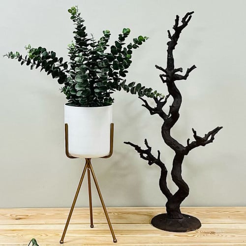 مركن حديد ابيض دائري مودرن بستاند ذهبي بثلاث ارجل