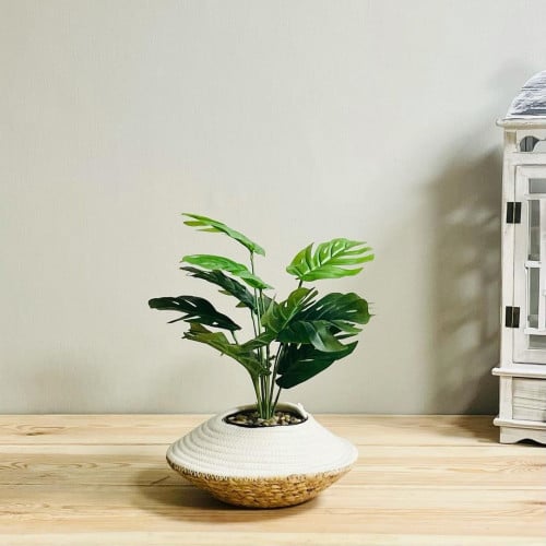 قفة صغيرة حبال سكري وبيج مرنة قابلة للطي