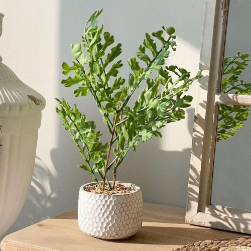 مركن زرع صناعي ملون