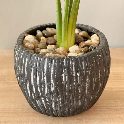 مركن مع زرع صناعي